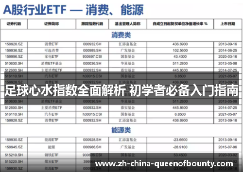 足球心水指数全面解析 初学者必备入门指南