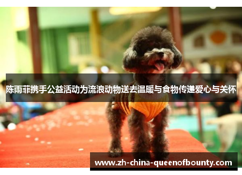 陈雨菲携手公益活动为流浪动物送去温暖与食物传递爱心与关怀