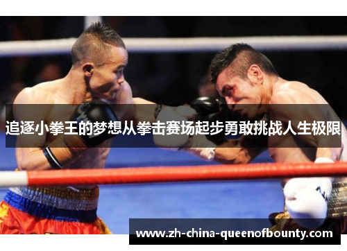 追逐小拳王的梦想从拳击赛场起步勇敢挑战人生极限