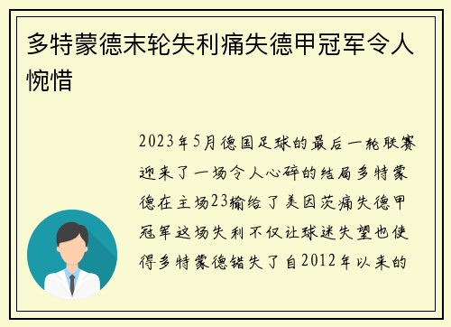 多特蒙德末轮失利痛失德甲冠军令人惋惜